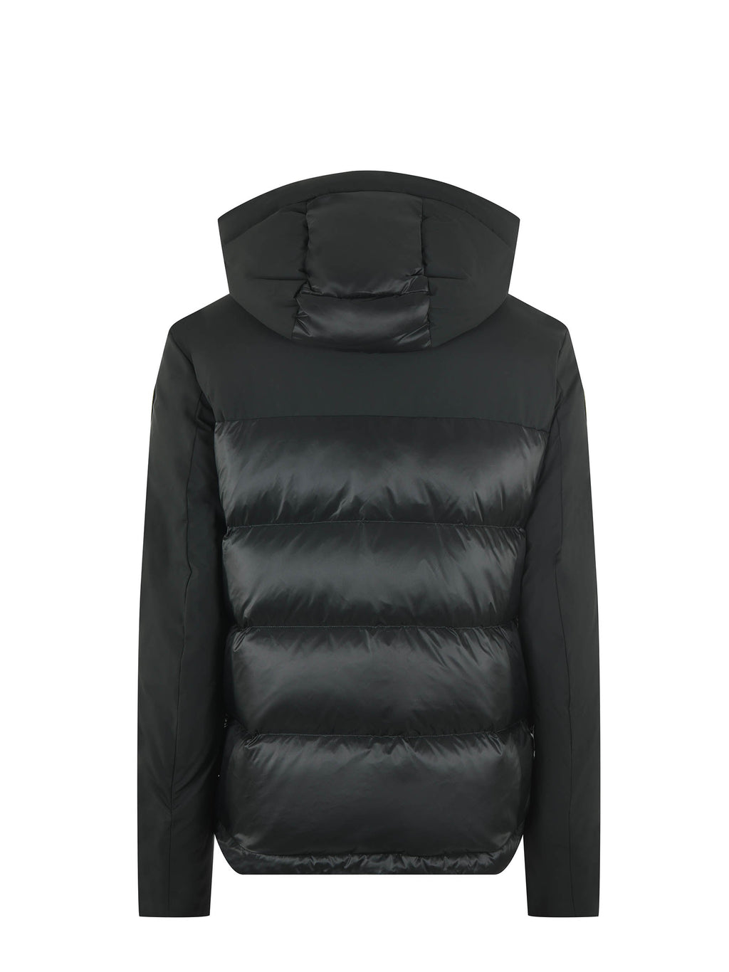BLAUER Down jackets BLUC03056 6355-678 Military green