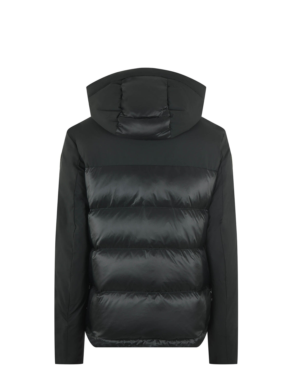 BLAUER Down jackets BLUC03056 6355-678 Military green