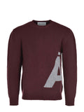 AMARANTO Knitwear B9F001 428 Burgundy