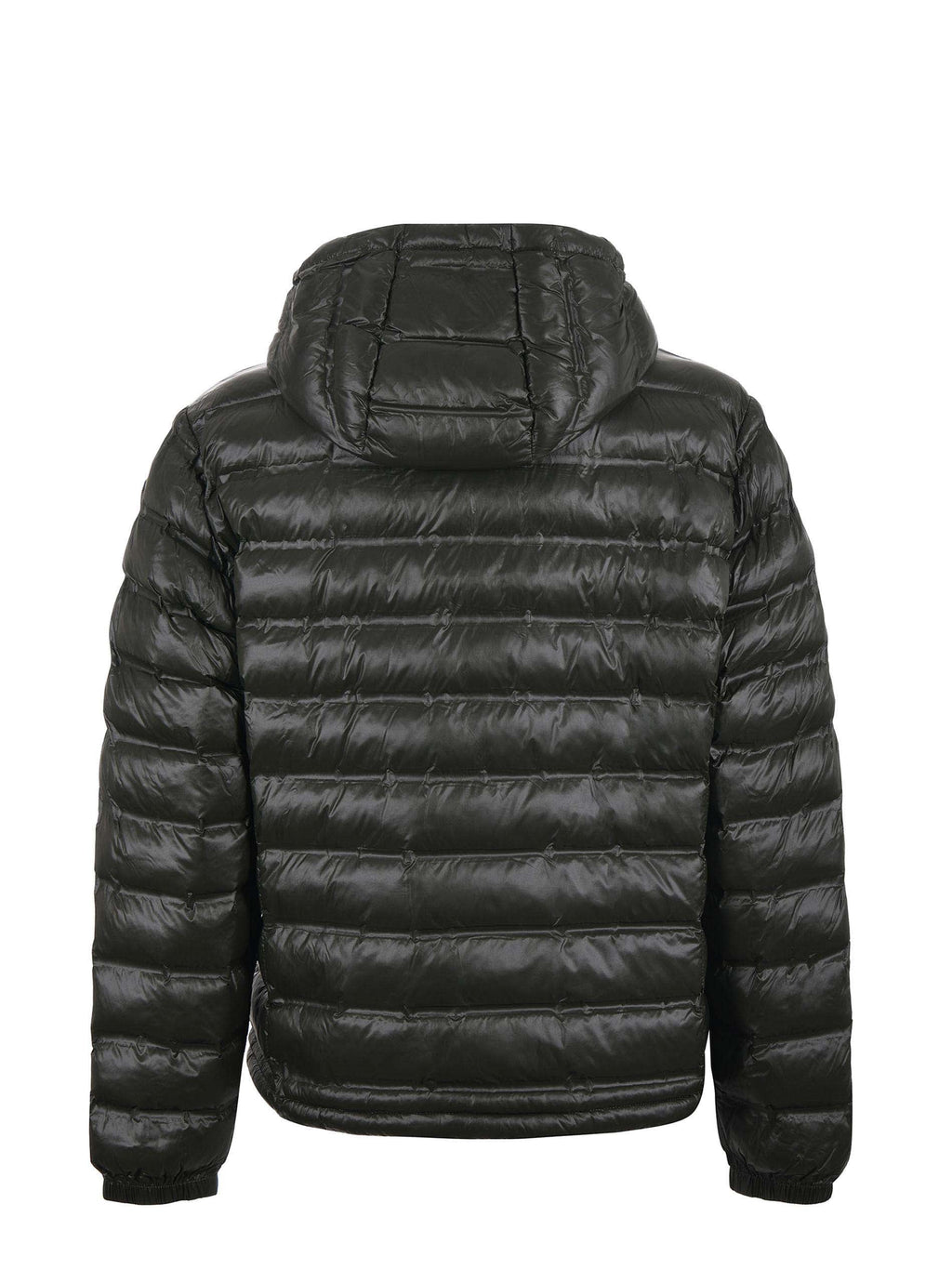 BLAUER Jackets BLUC02132 7284-678TB Dark green