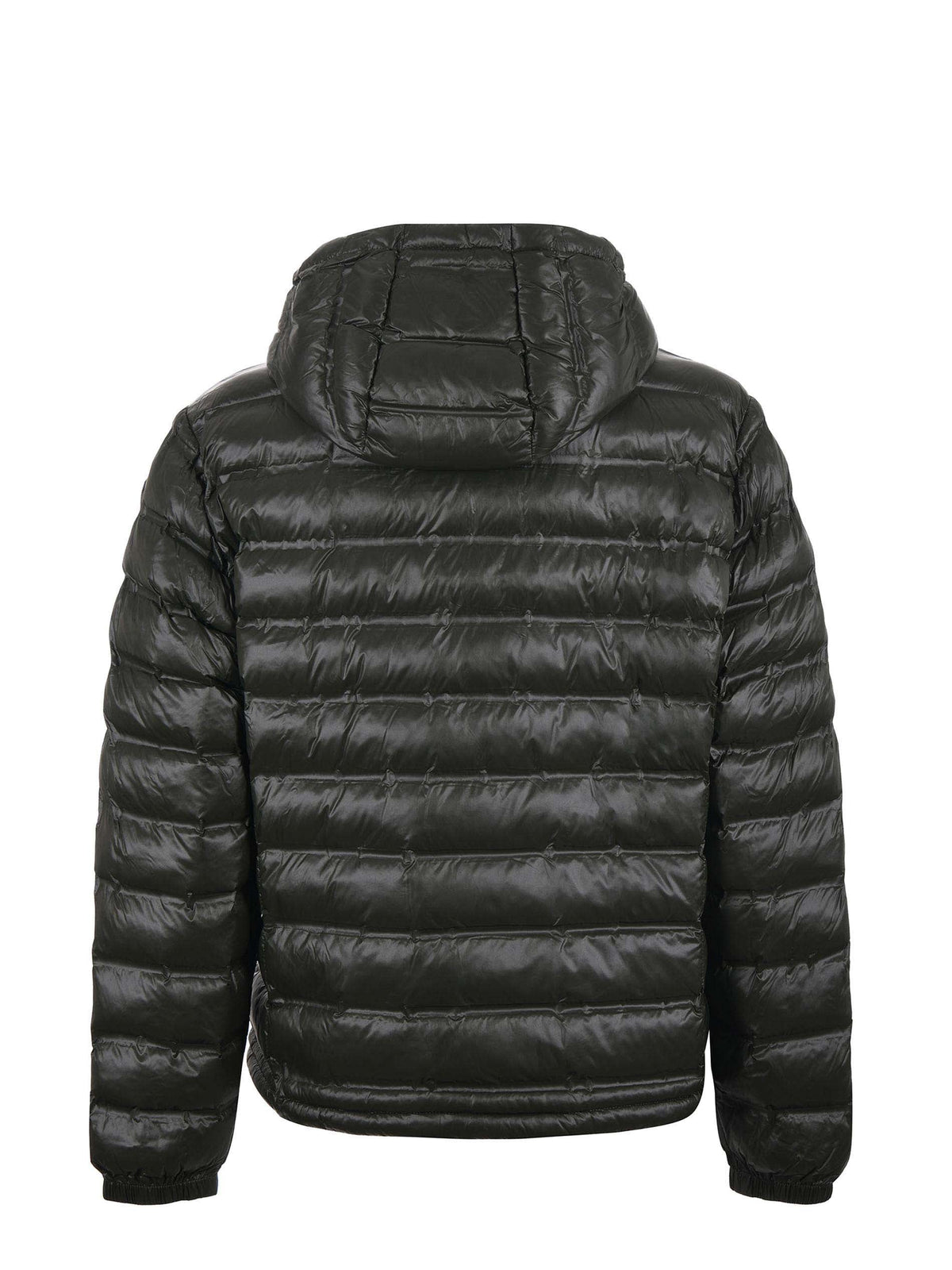 BLAUER Jackets BLUC02132 7284-678TB Dark green