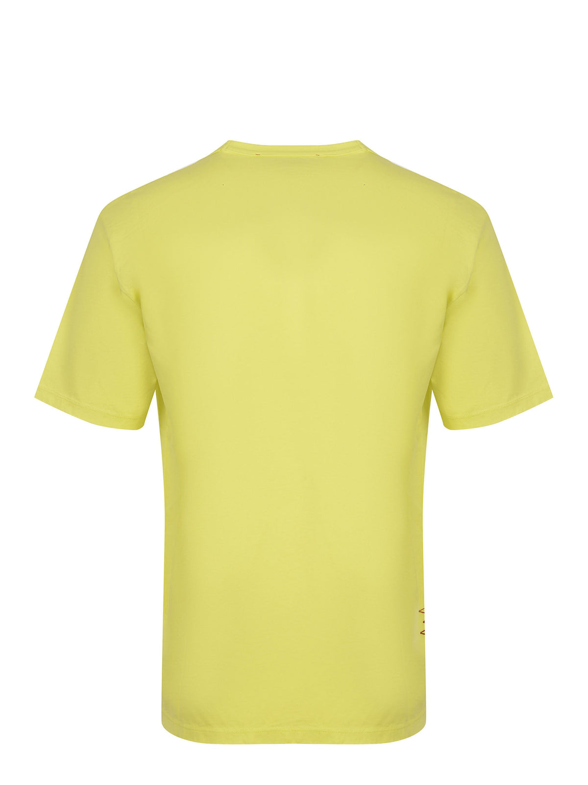 AMARANTH T-shirt B6D0070 21M Cedar