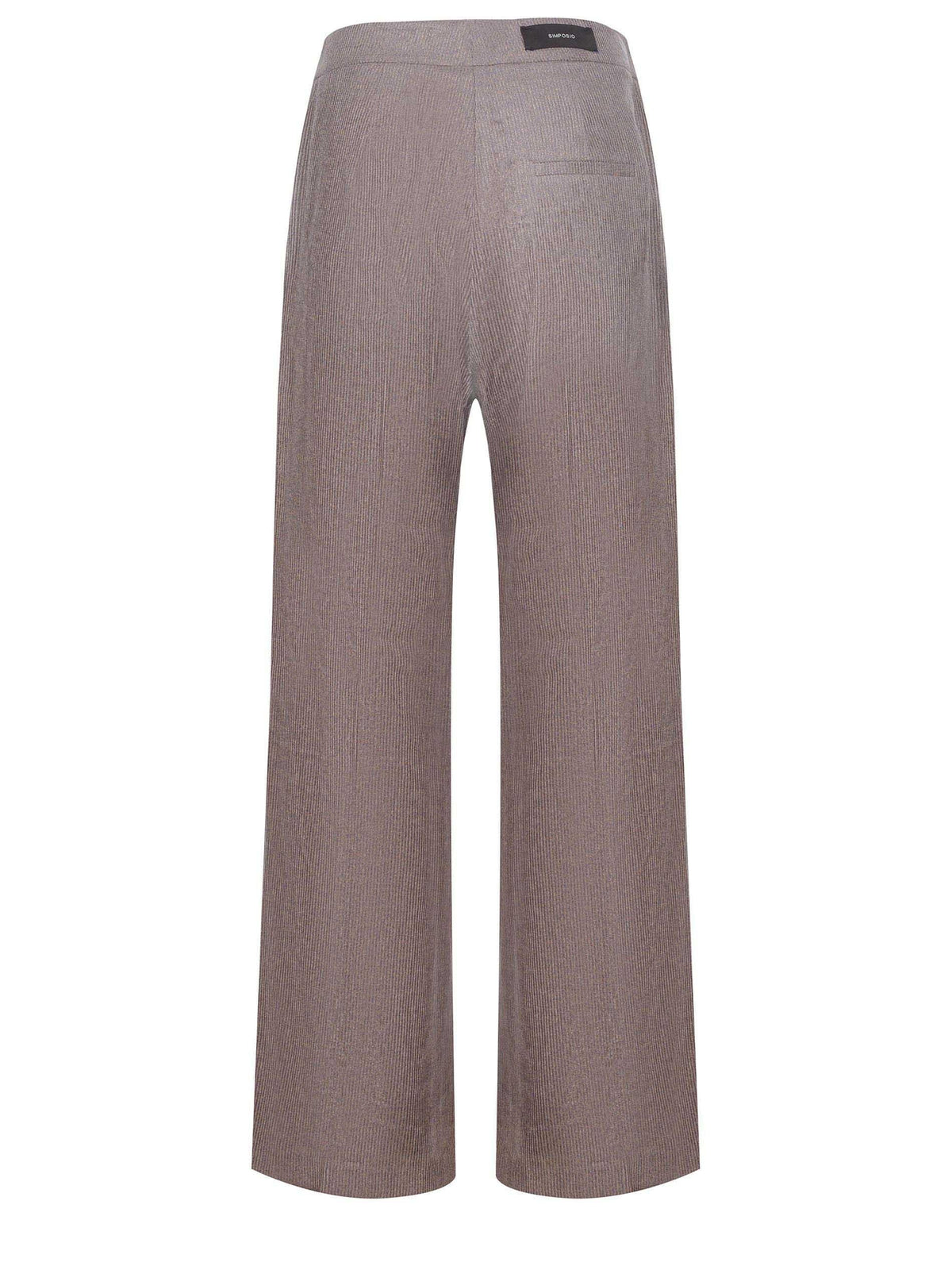 ALYSI Trousers 165166 A5220-MOUSSE Beige