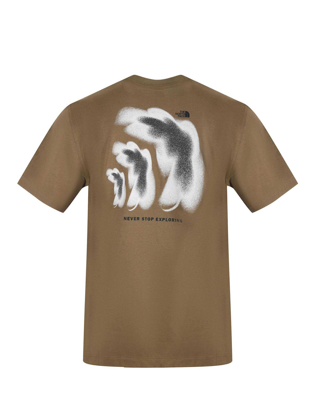 THE NORTH FACE T-shirt NF0A8GAF 2EL1 Khaki